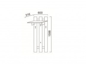 ПР-13 Вешалка в Симе - sim.магазин96.com | фото