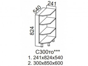 С300то Стол-рабочий 300 (торцевой открытый) в Симе - sim.магазин96.com | фото