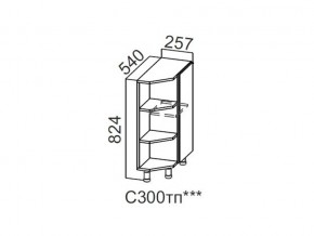 С300тп Стол-рабочий торцевой с полками 300 в Симе - sim.магазин96.com | фото
