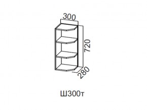 Ш300т/720 Шкаф навесной 300/720 (торцевой) в Симе - sim.магазин96.com | фото