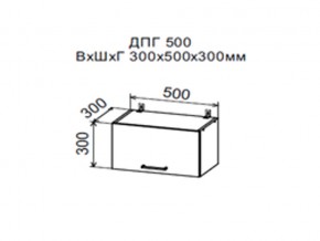Шкаф верхний ДПГ500 горизонтальный в Симе - sim.магазин96.com | фото
