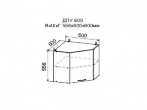 Шкаф верхний ДПУ600 угловой в Симе - sim.магазин96.com | фото